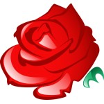 Rosen sind voller Symbolik: Rote...