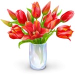 Tulpen sind die beliebtesten...